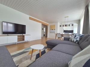 TV a/nebo společenská místnost v ubytování Apartment for 7, close to Zurich and Luzern, free private parking