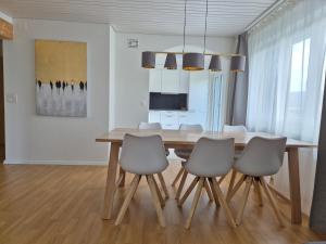 TV a/nebo společenská místnost v ubytování Apartment for 7, close to Zurich and Luzern, free private parking