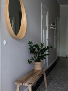 a wooden bench with a mirror and a potted plant at Traumkrone Ferienwohnungen - Wiesengrün in Schortens +41 photos