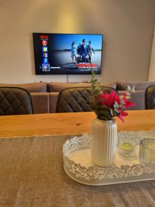 TV a/nebo společenská místnost v ubytování Grindavik Apartment