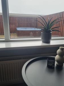 Una planta en maceta colocada en el alféizar de una ventana junto a una mesa. en Grindavik Apartment, en Grindavík