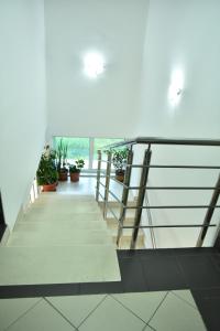 a staircase in a building with potted plants at Peron in Nikšić