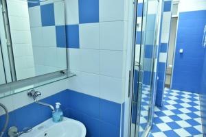 a bathroom with a sink and a shower at Peron in Nikšić
