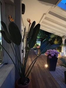 Taman di luar Hotel Gianlore