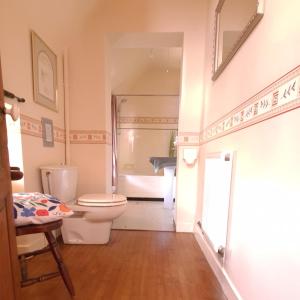 a bathroom with a toilet and a bath tub at CHATEAU DE LACOMTE COUNTRY CLUB in Carlucet