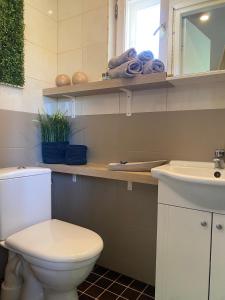 a bathroom with a toilet and a sink at Lydia Home in Tehumardi