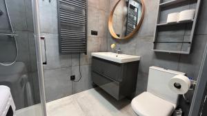 a bathroom with a toilet and a sink and a mirror at La Commanderie des Antonins -vue Panoramique sur le Rhône- in Vienne +32 photos