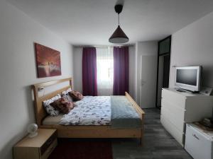 Billede fra billedgalleriet på Rose 8 Bled i Bled