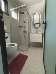 a bathroom with a shower and a toilet and a sink at Five shades of blue in Vourvourou +34 photos