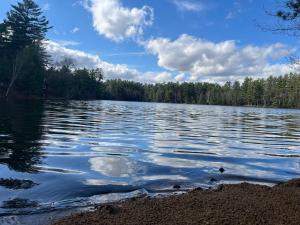 Galeriebild der Unterkunft Waterfront In Law Suite on Wolf Pond in Lake Placid