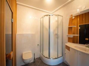 a bathroom with a shower and a toilet and a sink at Penthouse Duinerei by the sea with sauna in Callantsoog +18 photos