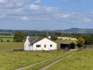 a white house in the middle of a field at Williamsfield Cottage in Holywood