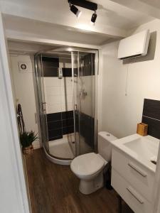 Un baño con ducha, inodoro y lavabo. en Meublé d'affaires et de tourisme, en Aurillac