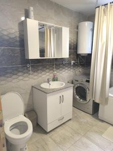 a bathroom with a toilet sink and a washing machine at Apartments Amina Sarajevo in Sarajevo
