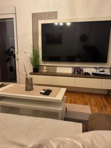 TV a/nebo společenská místnost v ubytování Apartman Golden Crown
