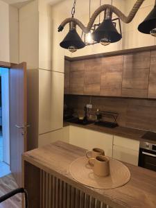 Kuchyň nebo kuchyňský kout v ubytování Apartman Golden Crown