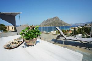 a potted plant sitting on a table on a roof at Panorama Studios & Apartments in Myrties