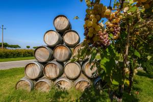 Fotografie z fotogalerie ubytování Agriturismo Trerè v destinaci Faenza