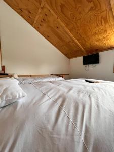 Postel nebo postele na pokoji v ubytování cabañas y hotel antiñanco