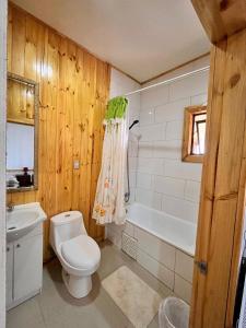 Koupelna v ubytování cabañas y hotel antiñanco
