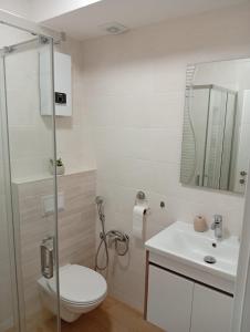 a bathroom with a toilet and a sink at Villa Adriana in Kastav