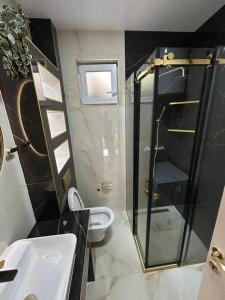 a bathroom with a shower and a toilet and a sink at Vista Boka New Luxury Apartment in Kotor in Kotor