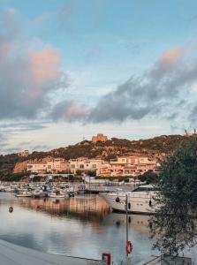 a group of boats are docked in a marina at Casa Bonita Vista Porto in Santa Teresa Gallura