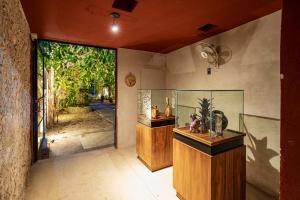 a large aquarium in a room with a large window at Exclusivo Oasis con Alberca en el Centro Histórico in Mérida