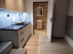 a bathroom with a sink and a counter top at Apartament A1, City of Grudziadz 42m Wi Fi in Grudziądz