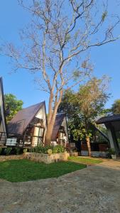 a house with a tree in front of it at Greenwin Cabana Resort in Anuradhapura