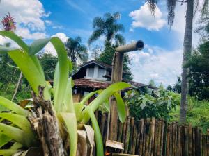 Κήπος έξω από το Sítio Agroecológico Ecovila Sustentar +25 φωτογραφίες