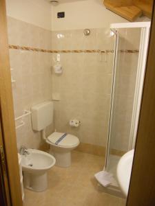 a bathroom with a toilet and a sink and a shower at Hotel Orsa Maggiore in Falcade