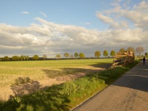 Gallery image of Farmhouse in Nederweert near Canal Trails, cleaning included in Nederweert-Eind +32 photos