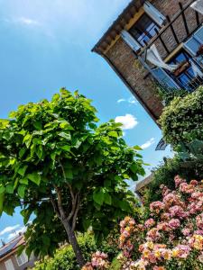 a tree in front of a building with flowers at Casa Magnolia in Terricciola