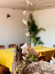 Fotografie z fotogalerie ubytování You Can Beach Resort Uppuveli v destinaci Trincomalee