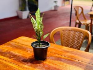 Fotografie z fotogalerie ubytování You Can Beach Resort Uppuveli v destinaci Trincomalee