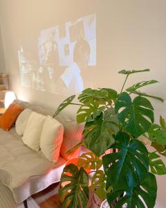 ハノイにあるNhiên House 2 Old Quarter 2nd floorのリビングルーム(ソファ、植物付)