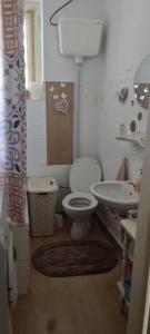 a bathroom with a toilet and a sink at Coco Apartment in Dobrota