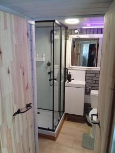 a bathroom with a shower and a toilet at Bursztynek in Rewa +36 photos