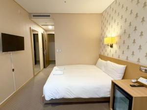 TV a/nebo společenská místnost v ubytování Mohenic Hotel Seoul Myeongdong