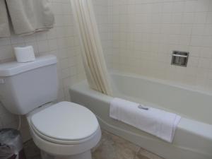 a bathroom with a white toilet and a bath tub at Bristlecone Motel in Ely