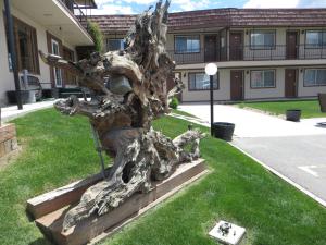 Zahrada ubytování Bristlecone Motel
