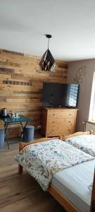 a bedroom with a bed and a tv and a table at Les Tourterelles in Laquenexy