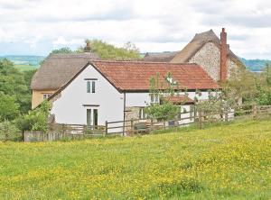 una casa blanca con una valla y un campo de flores en Old Orchard Cottage en Colyton