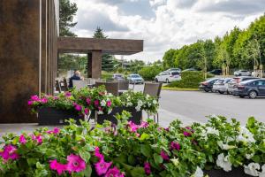 a group of flowers in front of a parking lot at Hotel Leśny in Białystok