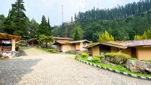 Příroda nedaleko hotelu + 43 fotografií