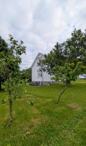 Příroda nedaleko bed and breakfast