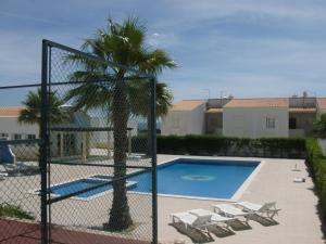 a palm tree sitting next to a swimming pool at Apartamento Sunny Velamar in Patroves