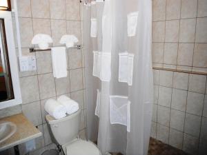 Ein Badezimmer in der Unterkunft Classique International in Dominica