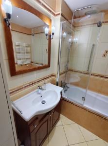 a bathroom with a sink and a tub and a mirror at Tom & Jerry Apartment - with air conditioning in Głogów +11 photos